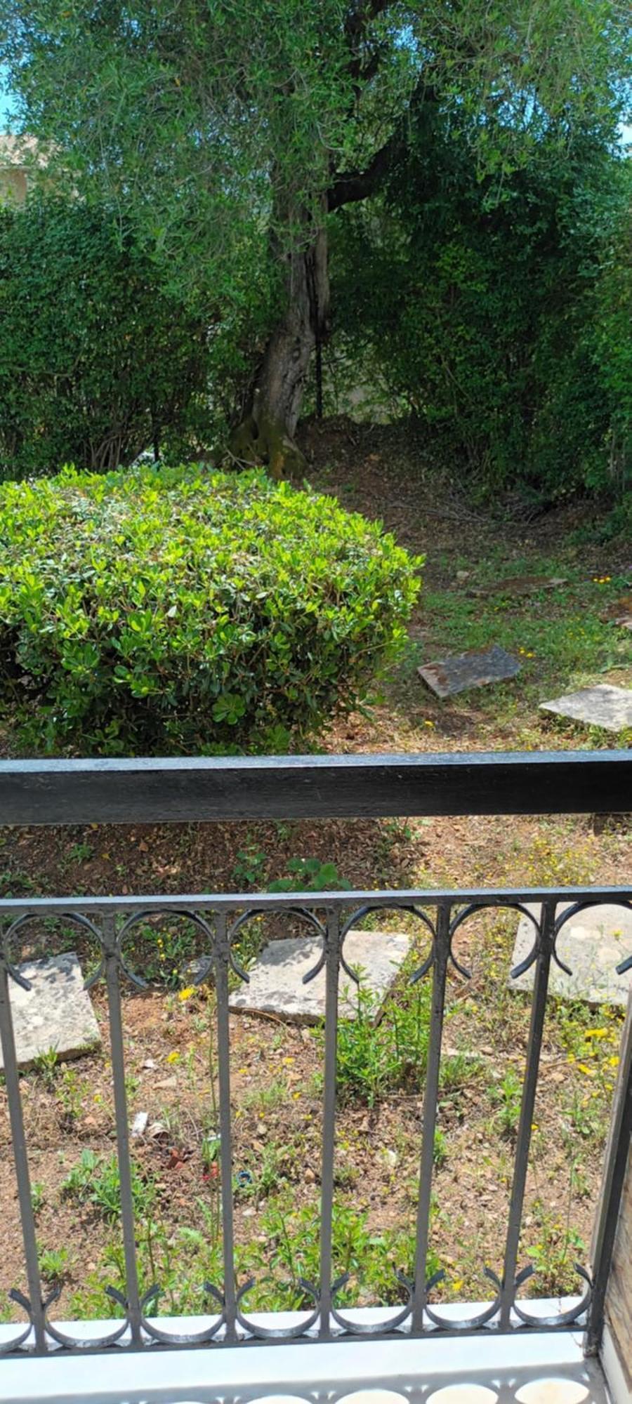 Dimitra Apartments G 古维亚 外观 照片